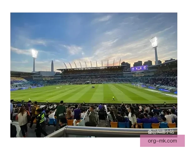 2025夏季转会窗口博洛尼亚签下中超外援引发欧洲足坛关注
